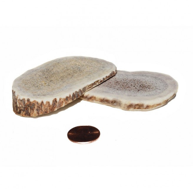 Bird Chips - 2 pack