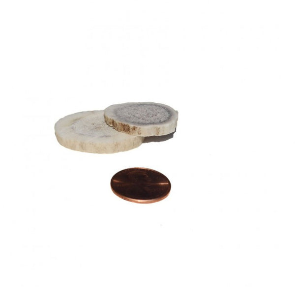 Antler Bits - 8 Pack