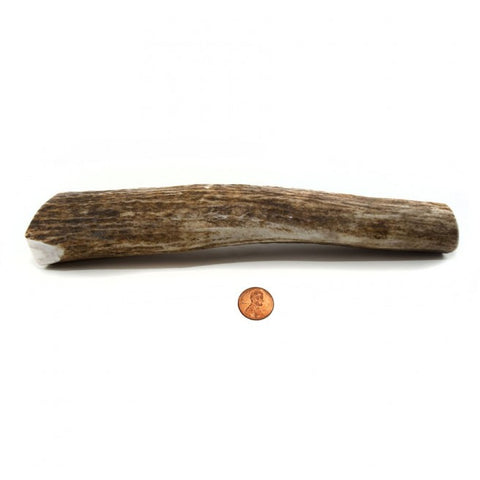 Hard Density Jumbo+ Whole Antler Chew