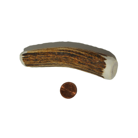 Hard Density Medium Whole Antler Chew