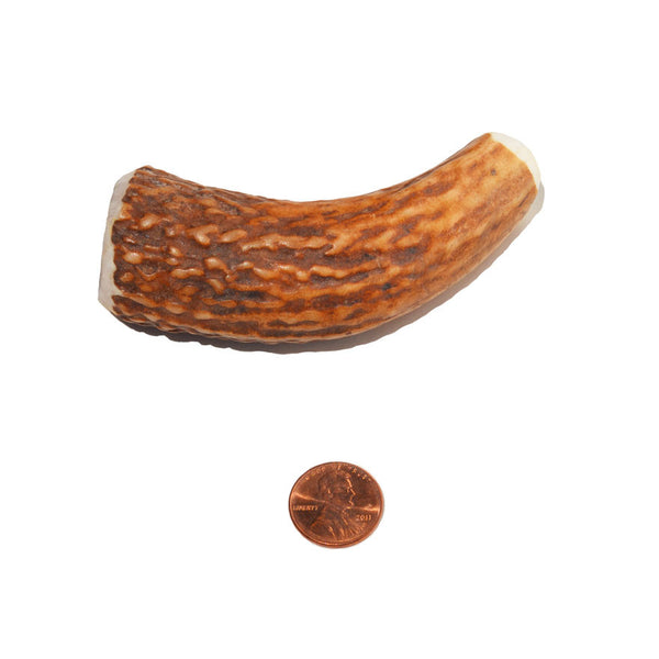 Hard Density Small Whole Antler Chew