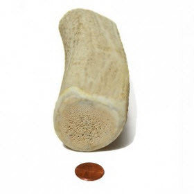 Medium Density Jumbo+ Whole Antler Chew