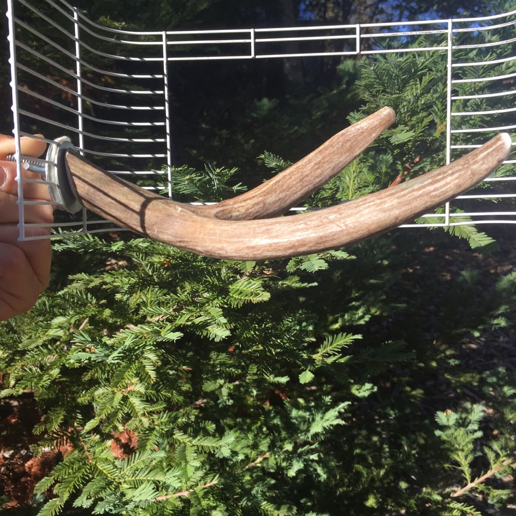 Large Bird Perch