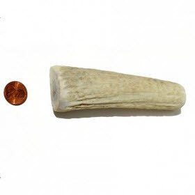Soft Density Large Whole Antler Chew