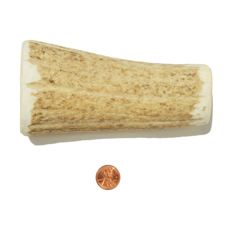 Medium Density Jumbo Whole Antler Chew