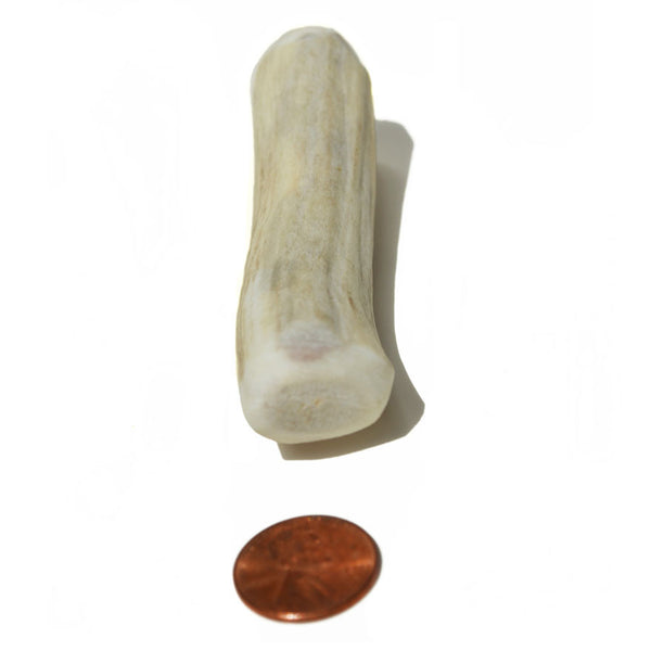 Medium Density Small Whole Antler Chew