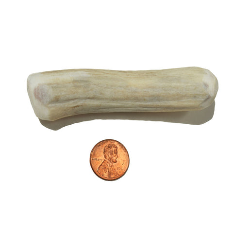 Medium Density Small Whole Antler Chew