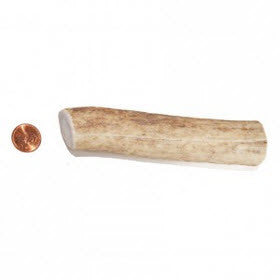 Soft Density Medium Whole Antler Chew