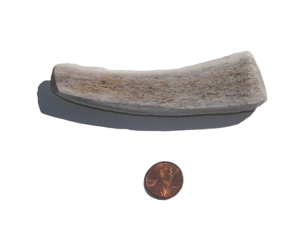 Small Split Antler Chew