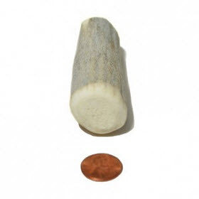 Soft Density Small Whole Antler Chew