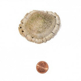 Soft Density Small Burr
