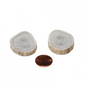 Soft Density Toy Whole Antler Chew - 2 per pack