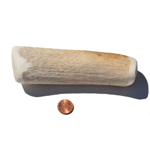 Medium Density Large Whole Antler Chew