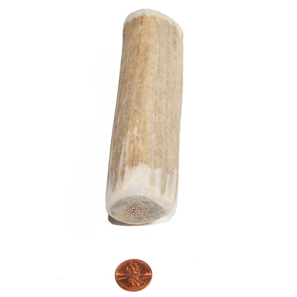 Medium Density Mid-size Whole Antler Chew