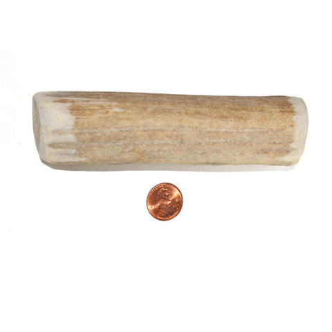 Medium Density Mid-size Whole Antler Chew